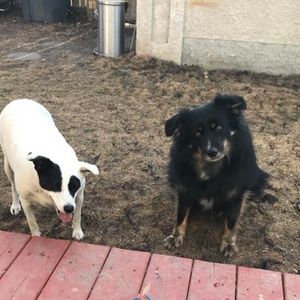 Meet your Posher, Billie